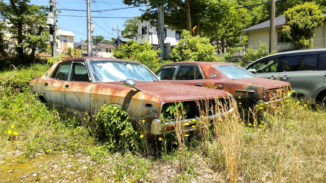 Rusty C130 Nissan Laurels in Hyogo, Japan