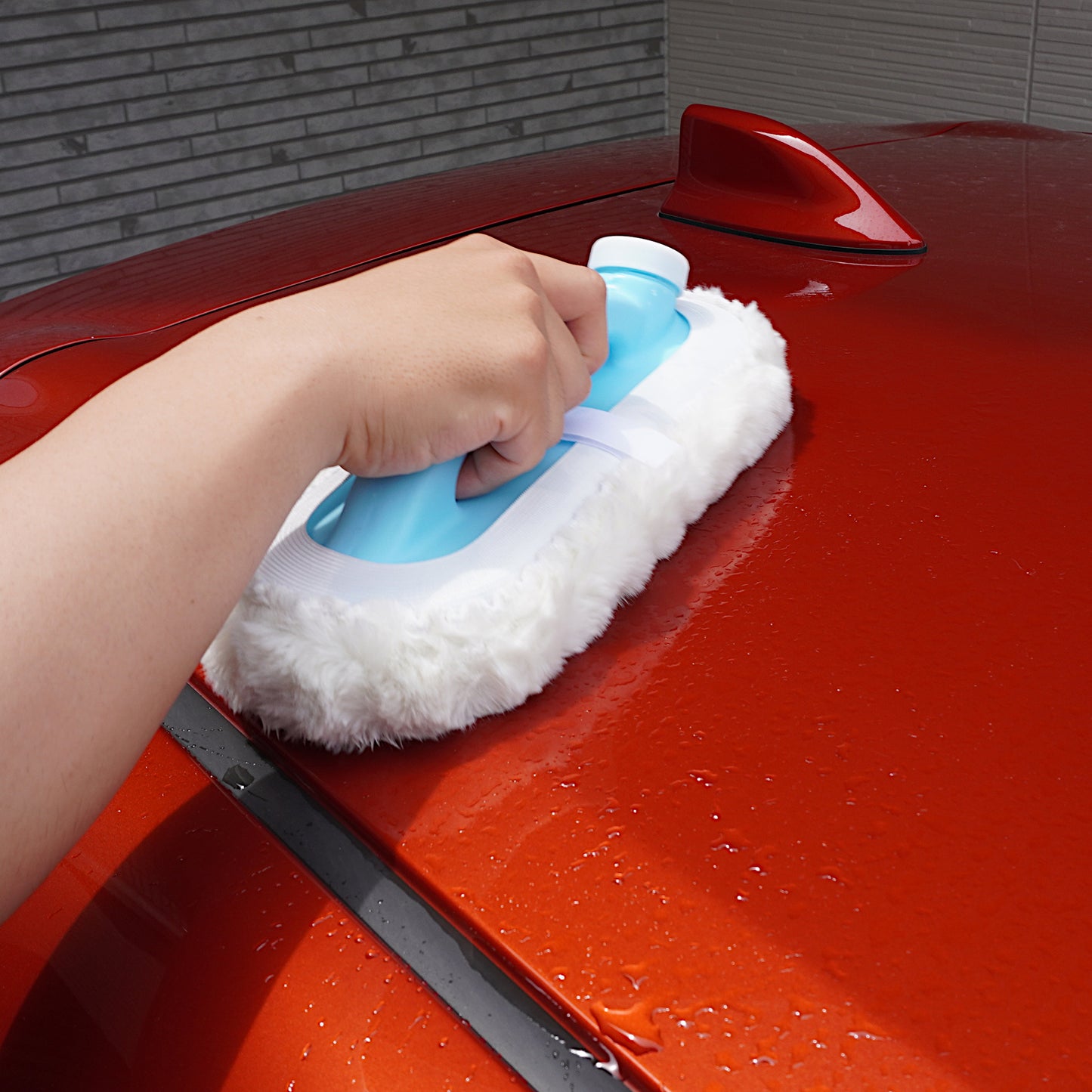 Quick Car Wash  Brush "Ara-taro"